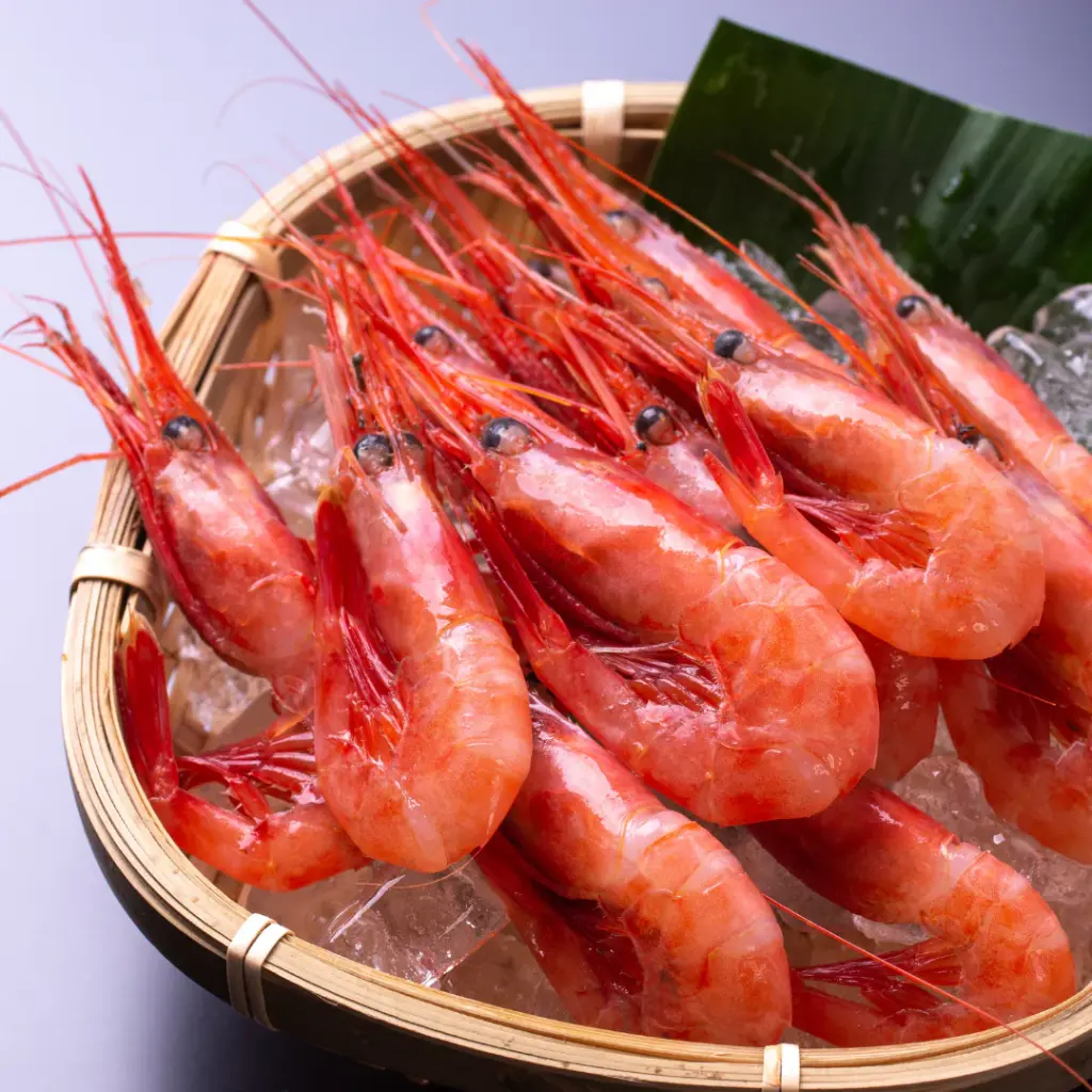 Frozen Hokkaido Amaebi Sweet Shrimp กุ้งอามะเอบิ ฮอกไกโด แช่แข็ง