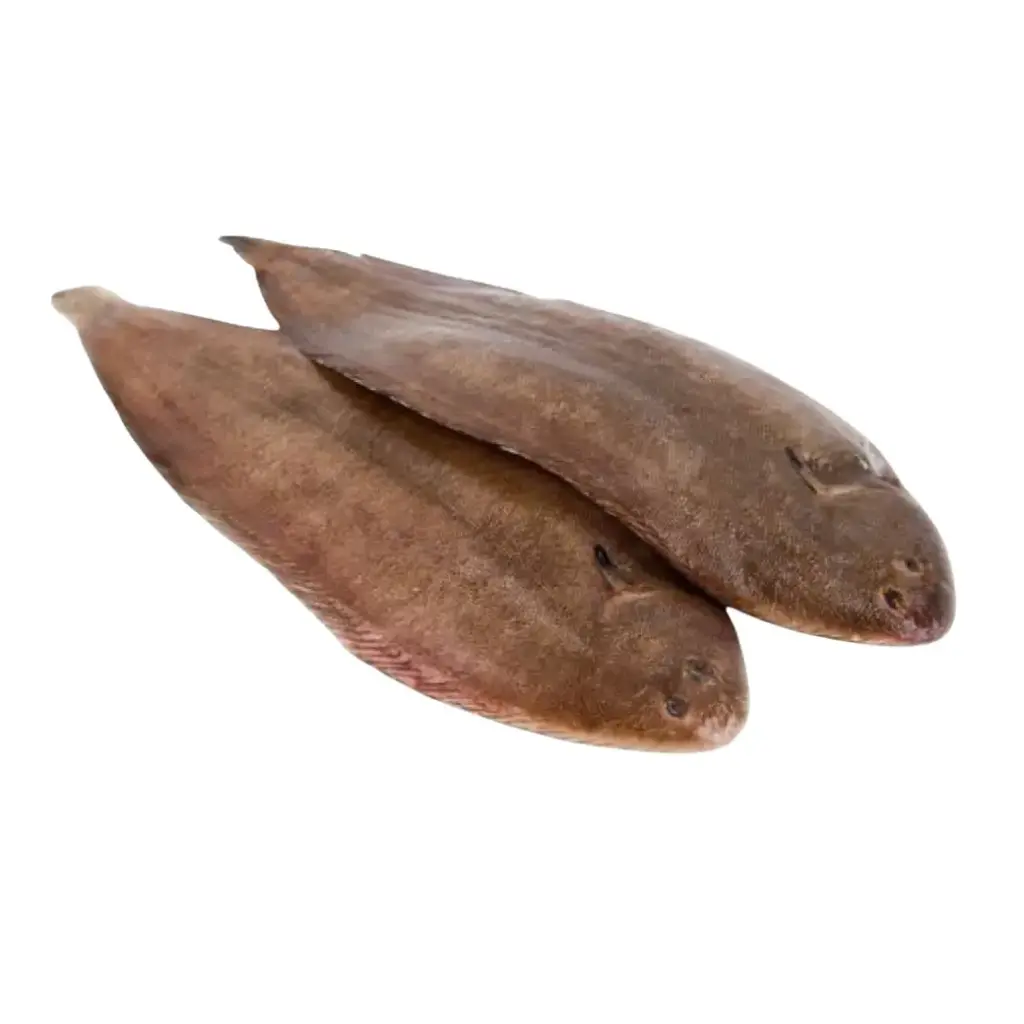 Dover Sole - Skin On,Head On, Gutted IQF 400-600g (1pc/pack) 