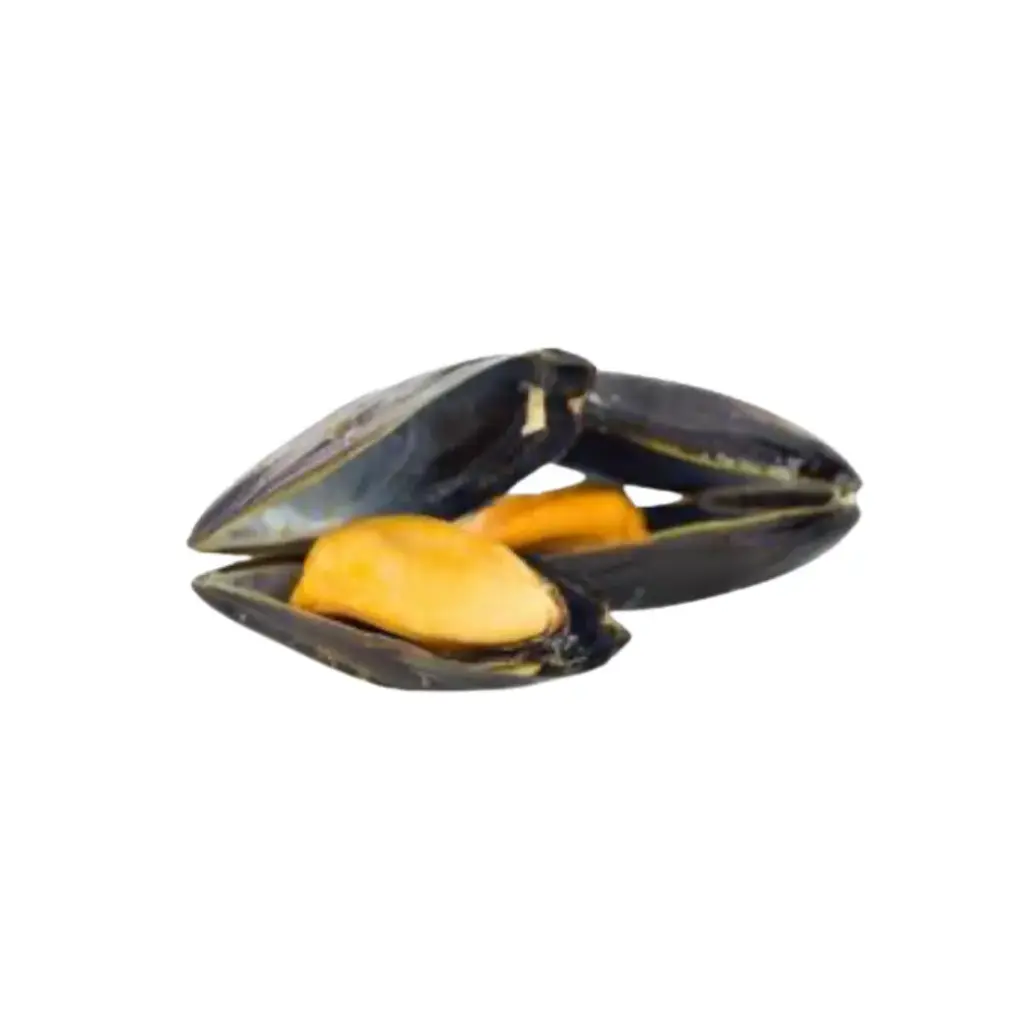 Frozen Cooked Chilean Mussel 1kg/pack