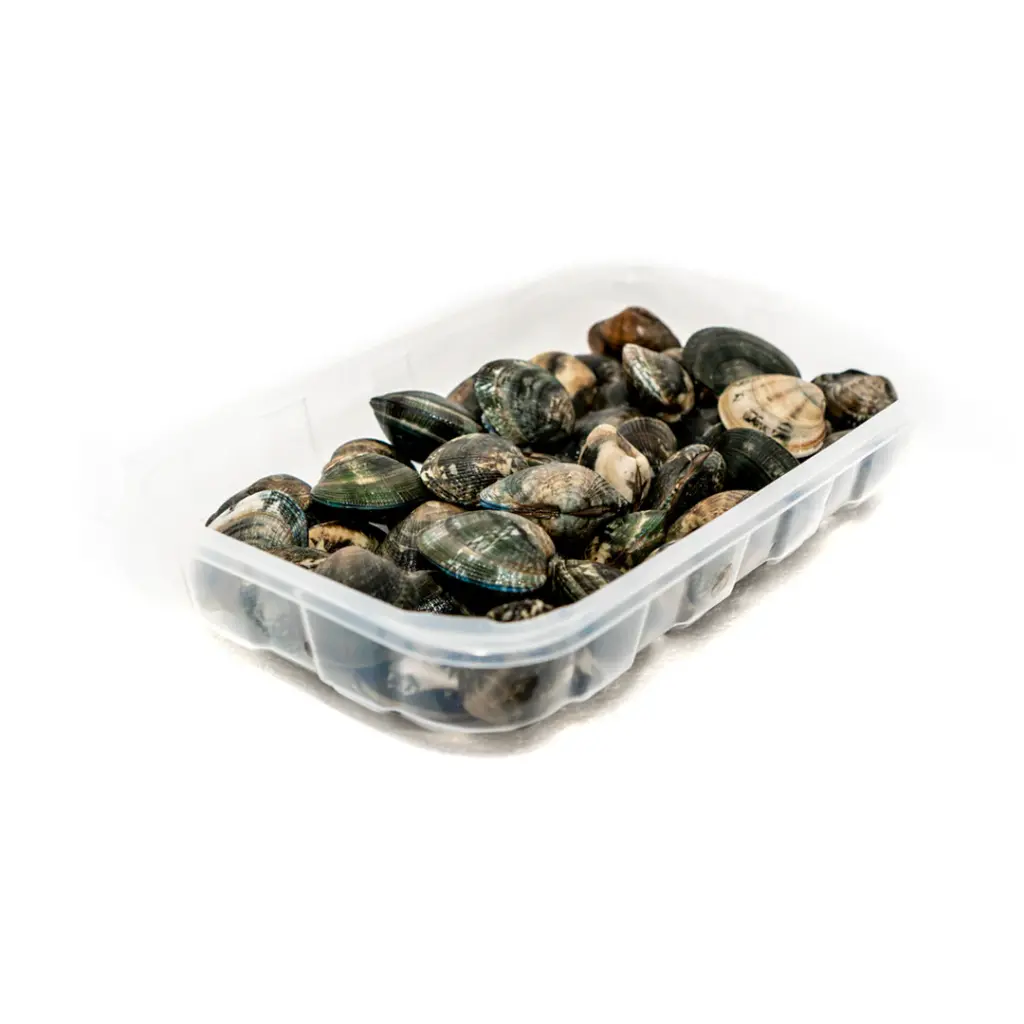 Goro Pesca Fresh Vongole Clam 1kg/pack
