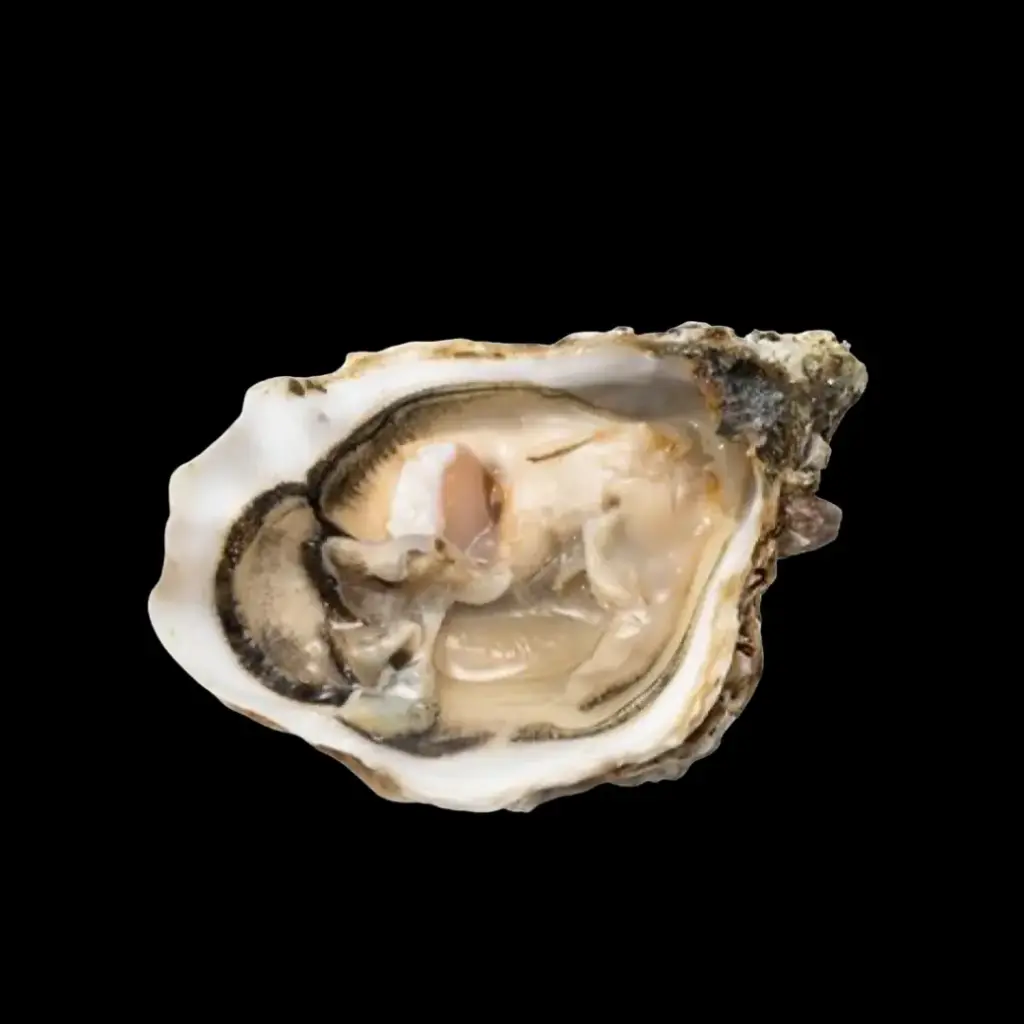 Tsarskaya Oysters No.3 50 pcs