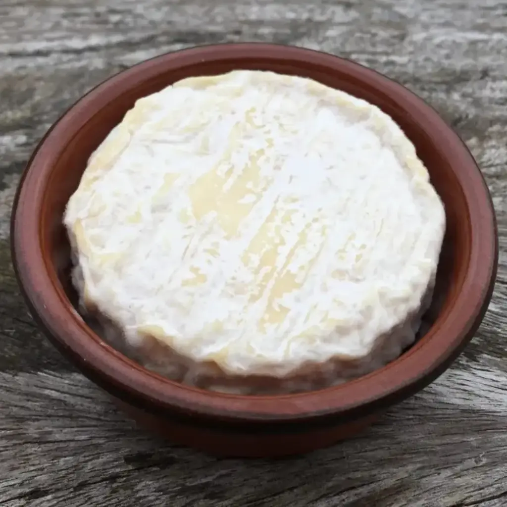 Saint Marcelin Cheese in Tray