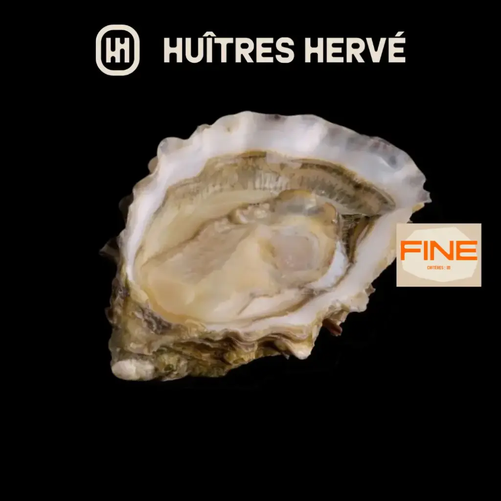 [SF088] David Herve Fine De Claire Oysters No.3 48 pcs