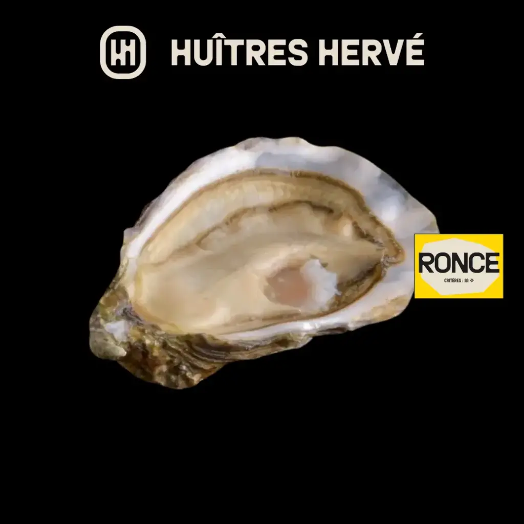David Herve Fine Ronce Oysters No.3 48 pcs