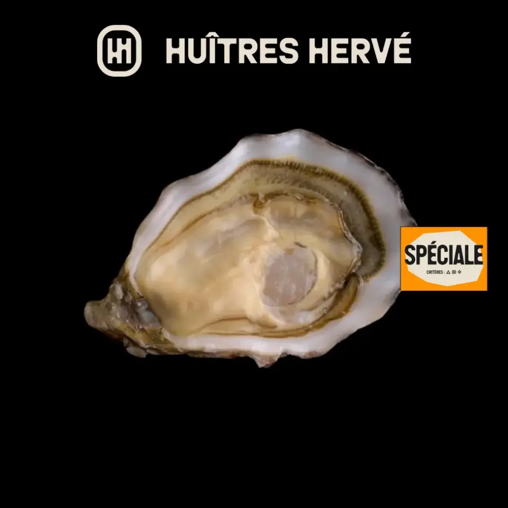 David Herve Fine Speciale Oysters No.3 48 pcs