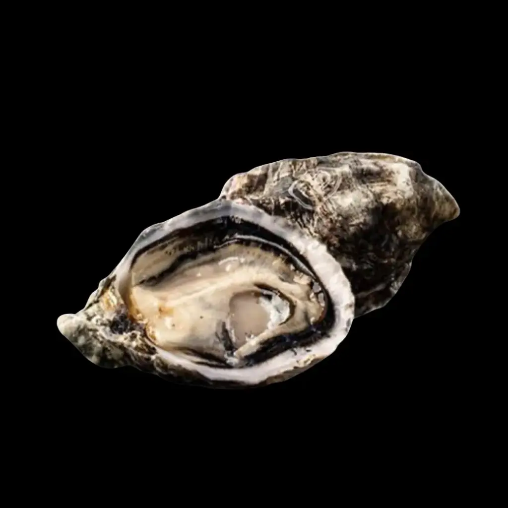 [SF093] Gillardeau Oysters No.2 48pcs