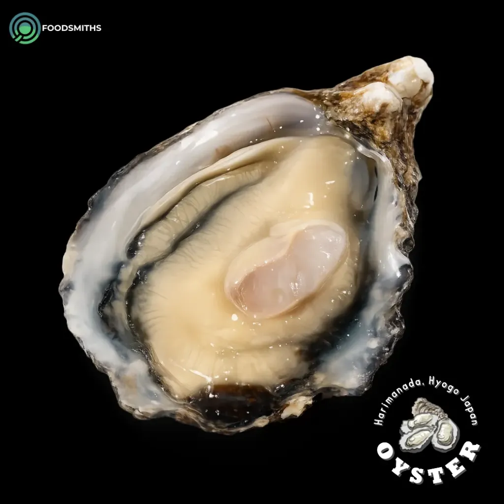 [CSF104] Japanese Hyogo Cutie Oyster with Shell (30-40g/pc) 10pc/pack