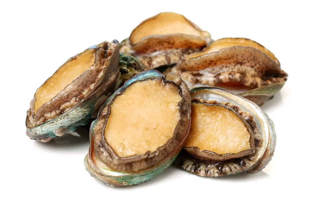 Frozen Abalone หอยเป๋าฮื้อ แช่แข็ง Size 240g/pc (8pc/pack)