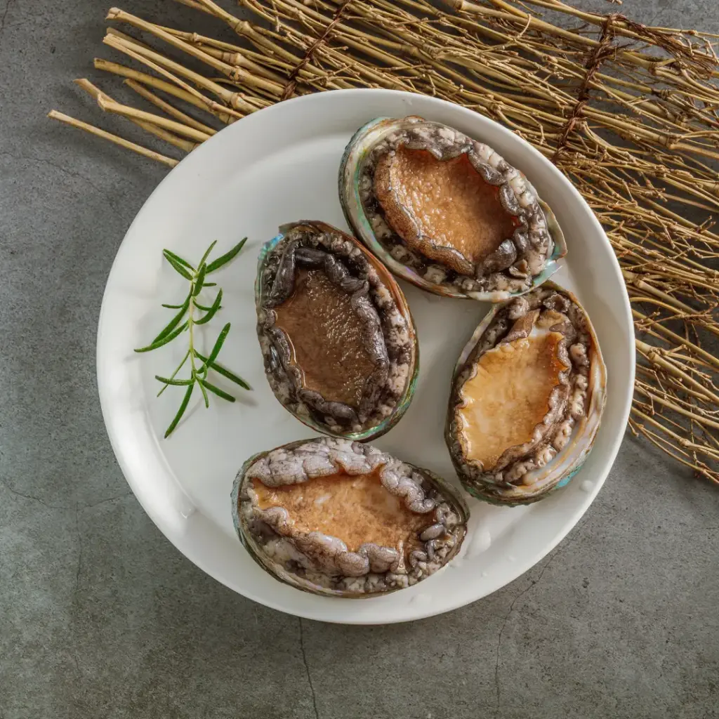 Frozen Abalone Size 240g/pc (8pc/pack)