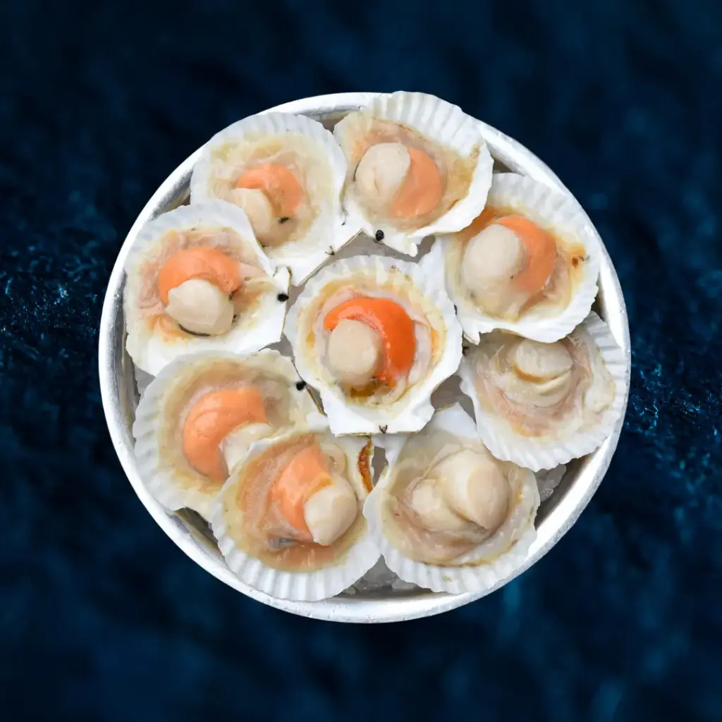 Frozen Hokkaido Scallop Half Shell หอยเชลล์ฮอกไกโดครึ่งฝา แช่แข็ง (9-10cm)