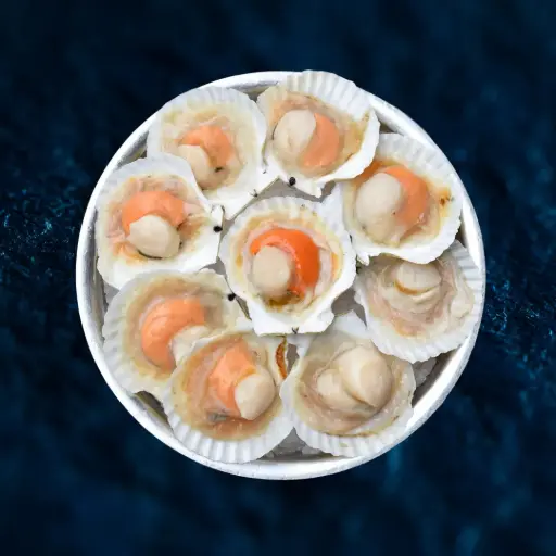 [SF012] Frozen Hokkaido Scallop Half Shell (10-12cm)