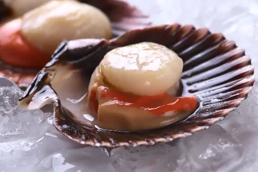 [SF012] Frozen Scallop Half Shell หอยเชลล์ครึ่งฝา แช่แข็ง